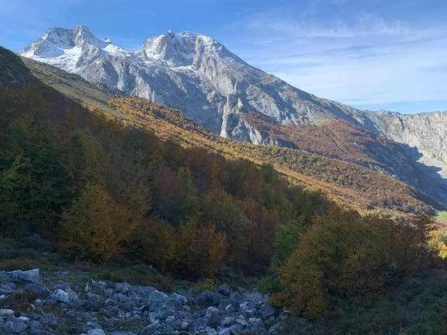 Cumbres De Los Picos Apartamento Buhos Poo  Eksteriør billede